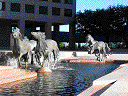 The Mustangs at Las Colinas Williams Square in Irving