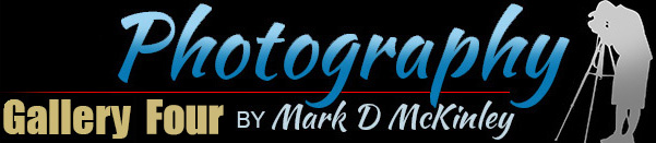 Mark's Photography Gallery Four