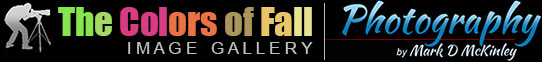 The Colors of Fall Gallery
