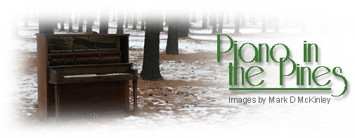 Piano in the Pines